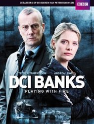 DCI Banks Saison 5 en streaming