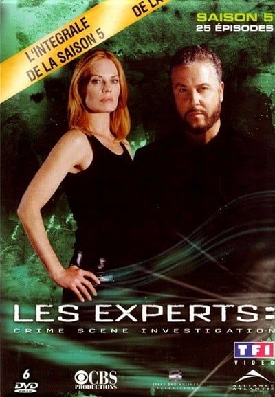 Les Experts Saison 5 en streaming