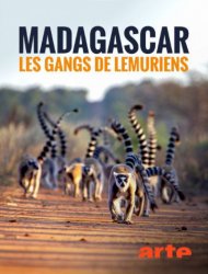 Madagascar : les gangs de lémuriens Saison 1 en streaming