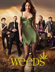 Weeds Saison 2 en streaming